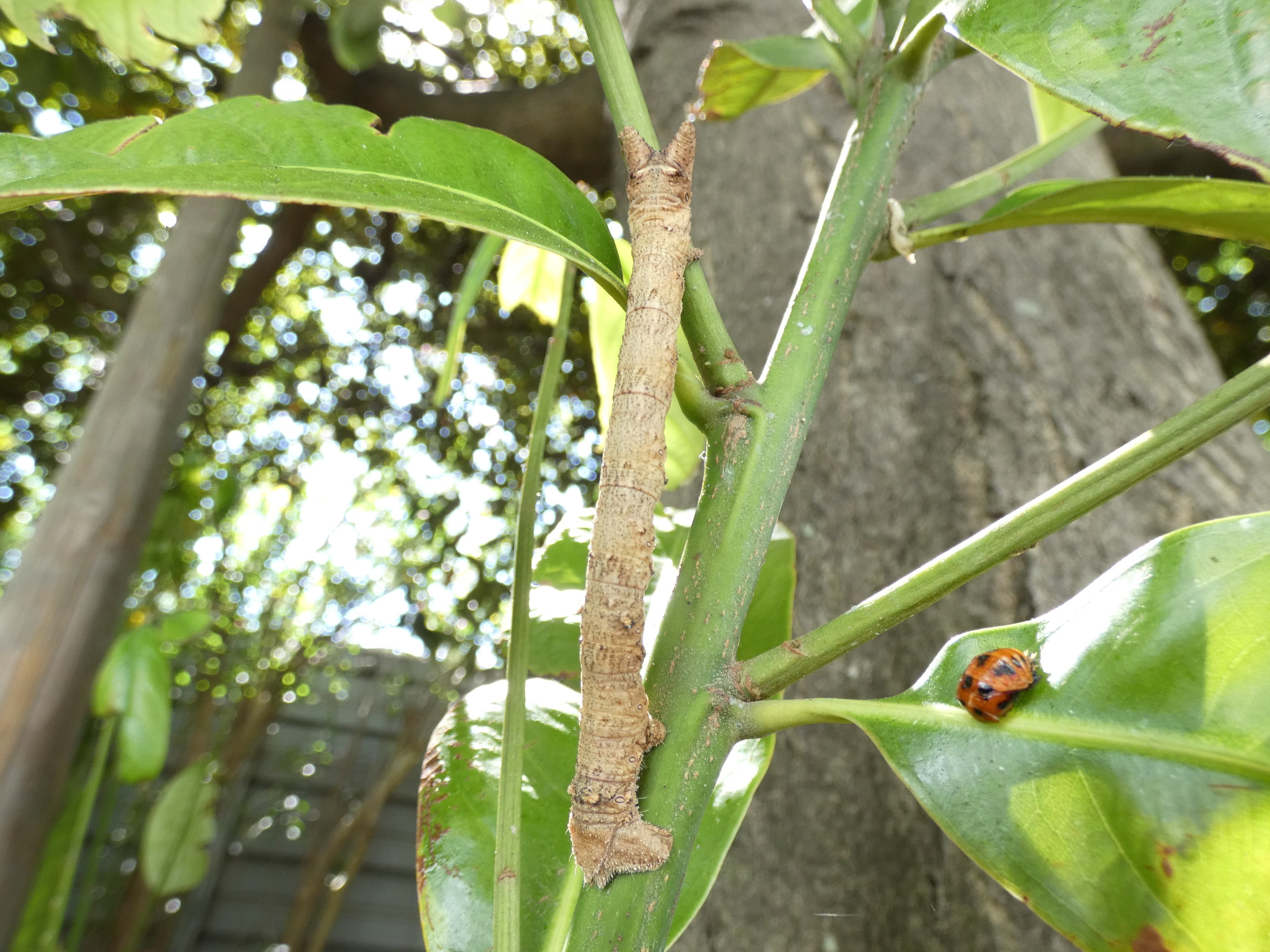 photo_3